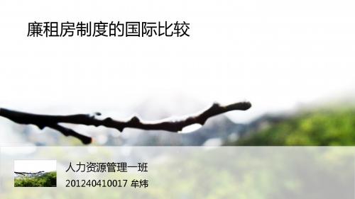 廉租房的国际比较