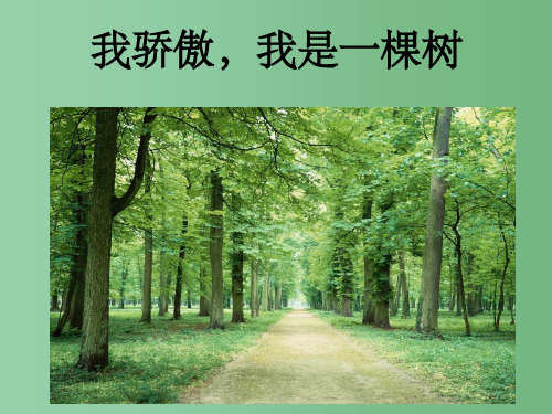八年级语文下学期 我骄傲,我是一棵树课件 苏教版