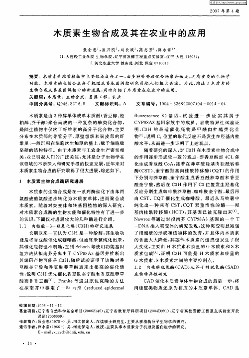 木质素生物合成及其在农业中的应用
