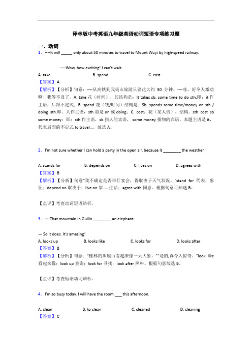 译林版中考英语九年级英语动词短语专项练习题