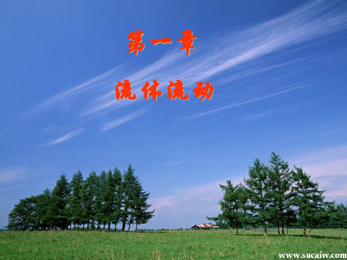 化工原理第四版