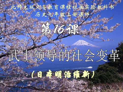 第16课武士领导的社会变革1PPT课件