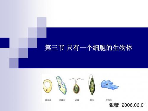 七年级生物只有一个细胞的生物体1(1)(201909)