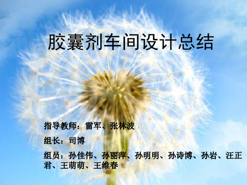 胶囊剂车间设计总结ppt
