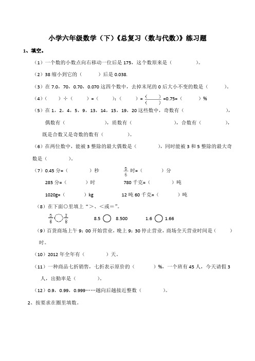 西师大版小学六年级数学下册《总复习(数与代数)》练习试题