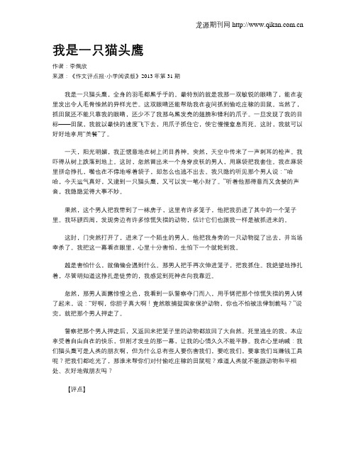 我是一只猫头鹰