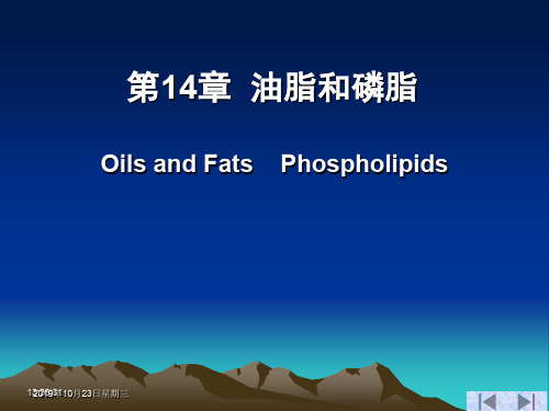 油脂和磷脂