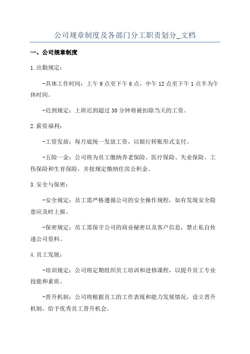 公司规章制度及各部门分工职责划分_文档