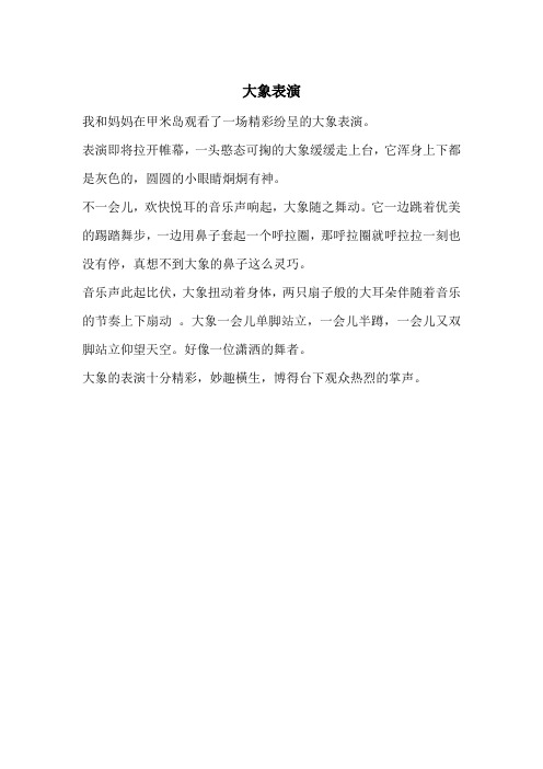 大象表演