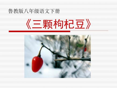 《三颗枸杞豆》精品ppt课件3