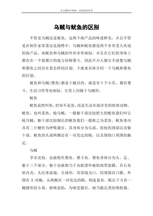 乌贼与鱿鱼的区别