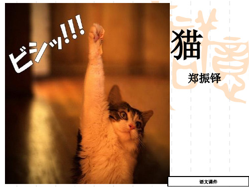 七年级上-猫_郑振铎-课件