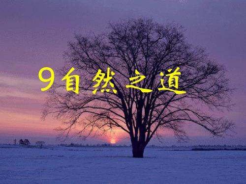 《自然之道》ppt课件