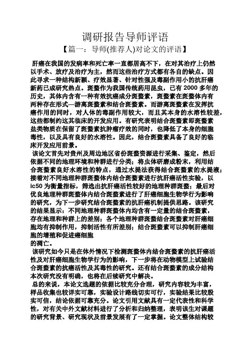工作报告之调研报告导师评语