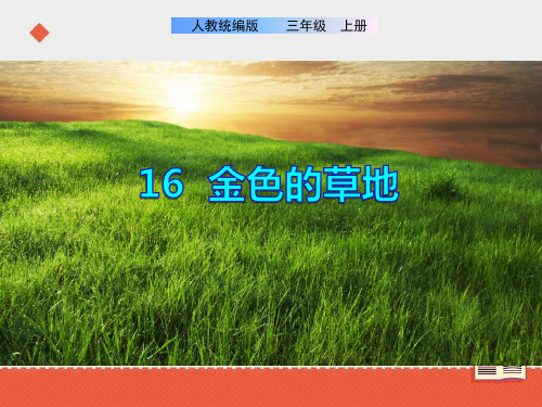 部编版三年级上册小学语文16《金色的草地》课件