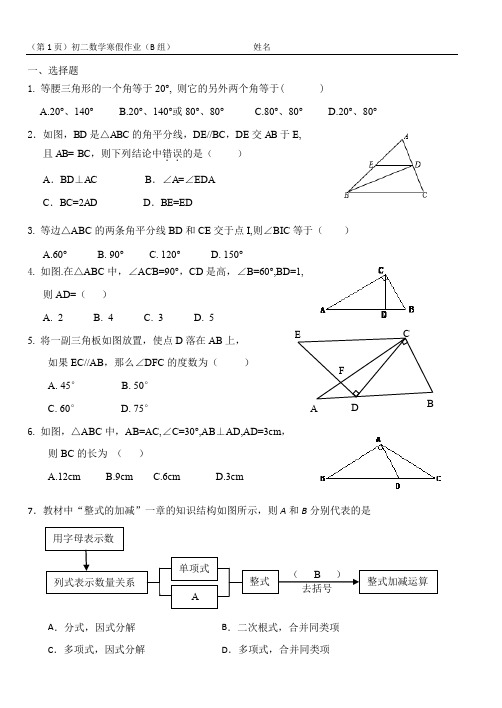 初二数学寒假作业(B组)