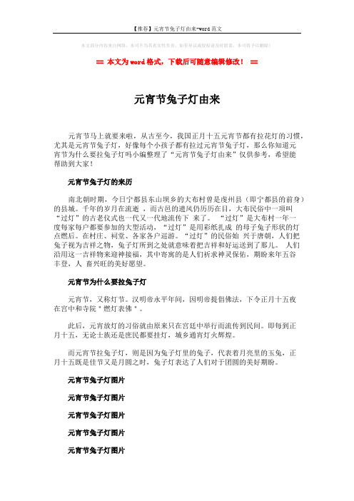 【推荐】元宵节兔子灯由来-word范文 (2页)