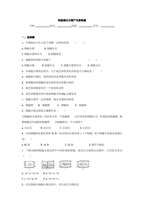 中考生物精品复习专题训练：细胞通过分裂产生新细胞(含答案)