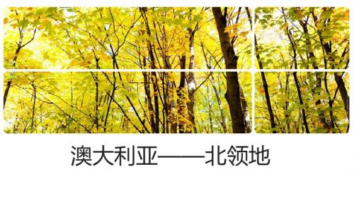 澳洲北领地