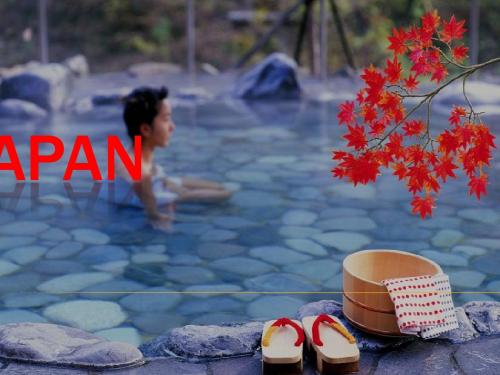 JAPAN  英文简介