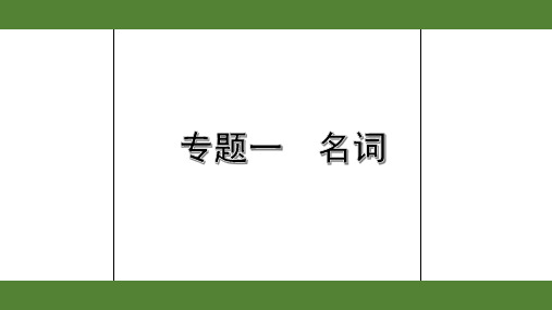 2020年英语中考语法复习1. 专题一  名词