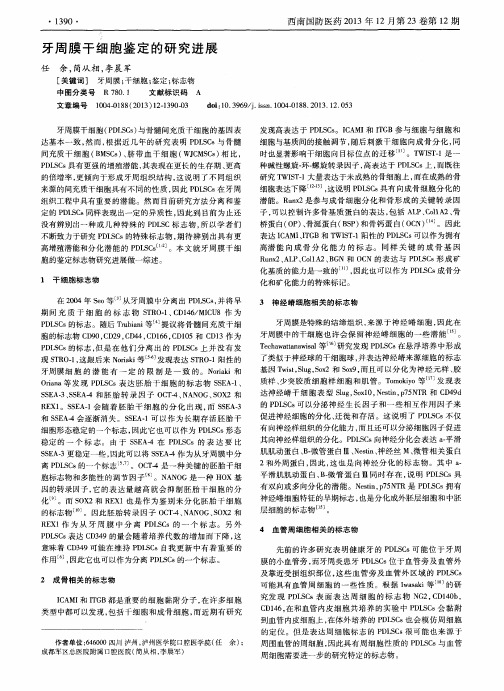牙周膜干细胞鉴定的研究进展