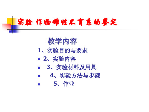 水稻雄性不育系鉴定 精品