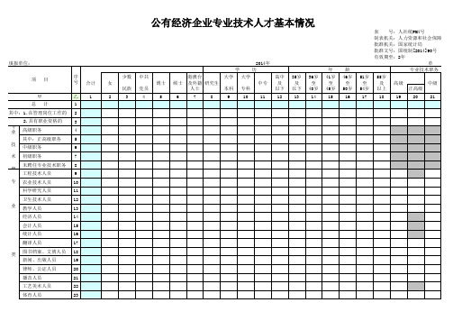 公有经济企业专业技术人才基本情况