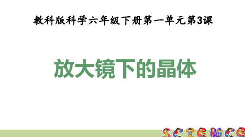 教科版六年级科学下册1.3放大镜下的晶体(教学课件)