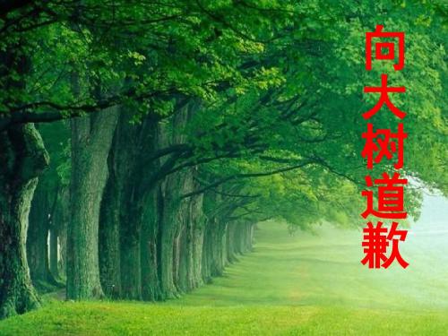 《向大树道歉》课件