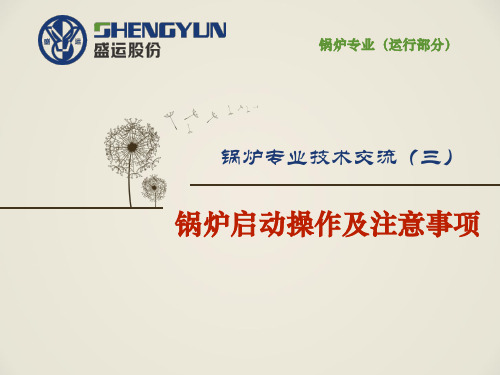 垃圾焚烧锅炉启动及注意事项ppt课件
