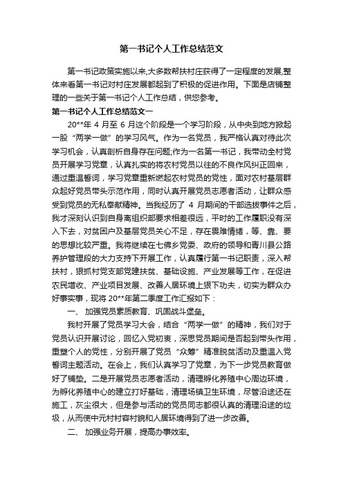 第一书记个人工作总结范文