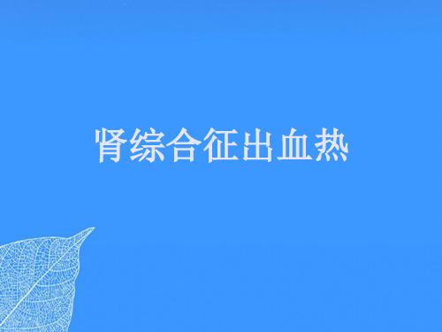 【正式版】肾综合征出血热PPT文档