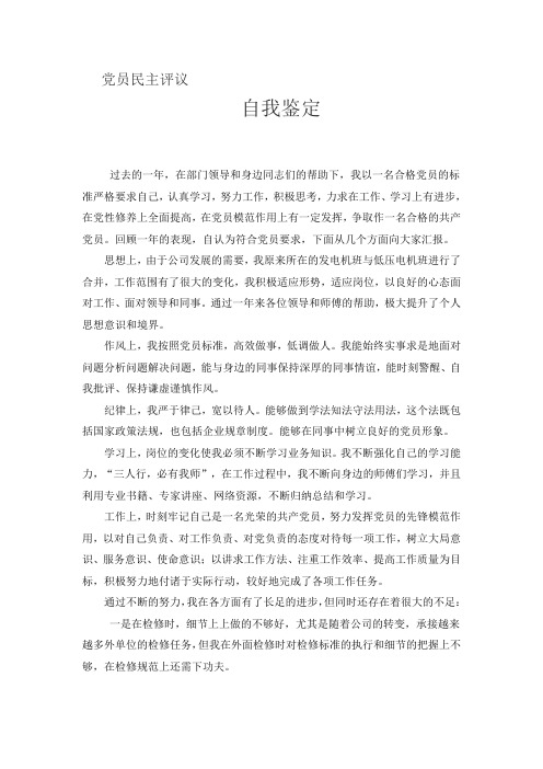 2016民主评议