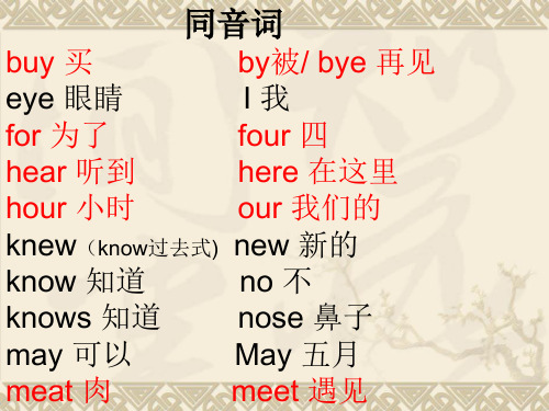 小学英语反义词和同义词近义词