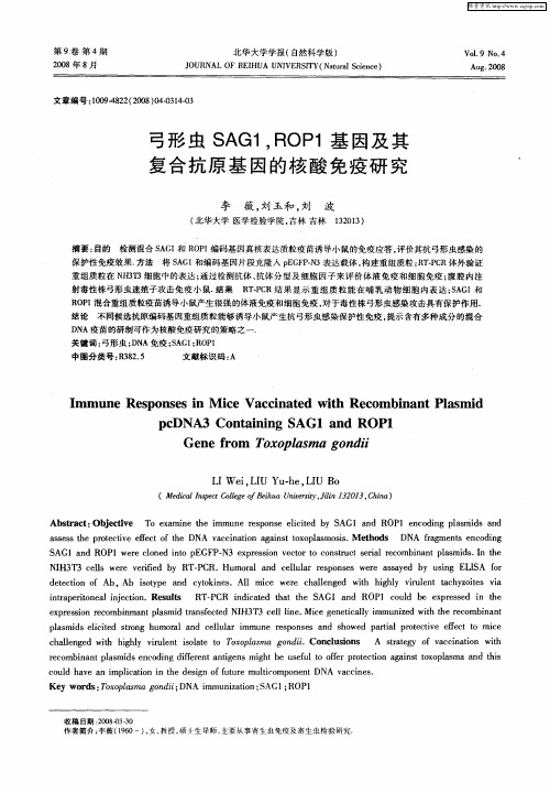 弓形虫SAG1,ROP1基因及其复合抗原基因的核酸免疫研究