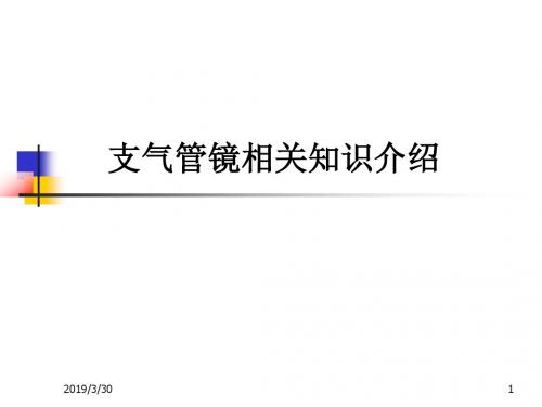 支气管镜相关知识介绍
