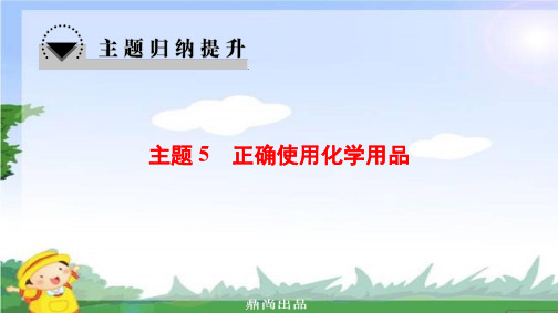 高中化学主题5正确使用化学品归纳提升课件鲁科版选修6.ppt