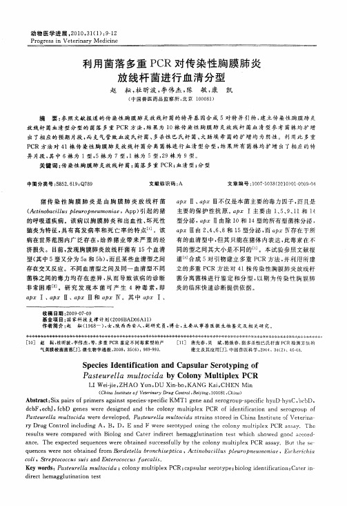 利用菌落多重PCR对传染性胸膜肺炎放线杆菌进行血清分型