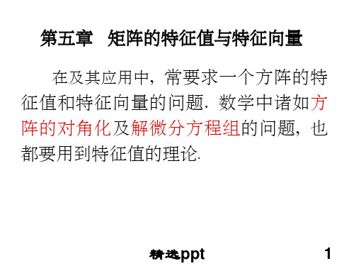 矩阵的特征值与特征向量