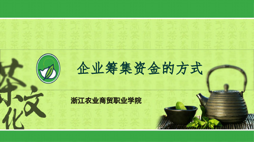 企业筹集资金的方式.ppt