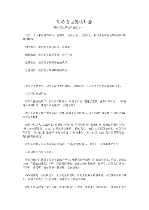 用心看世界读后感