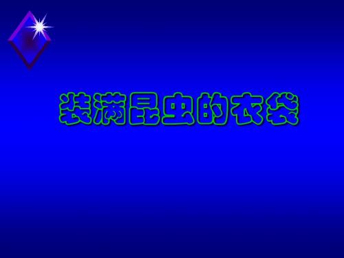 (北师大版)小学三年级语文下册PPT精品课件：装满昆虫的口袋课件PPT、优质教学课件