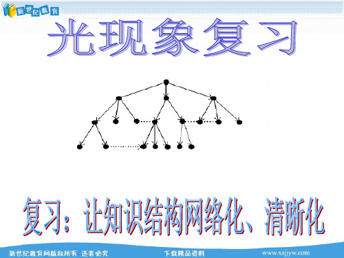 光的反射定律和折射现象