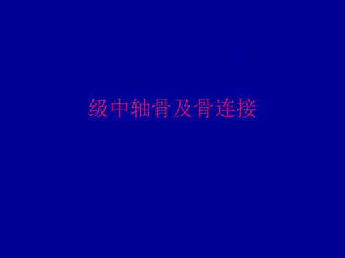 级中轴骨及骨连接