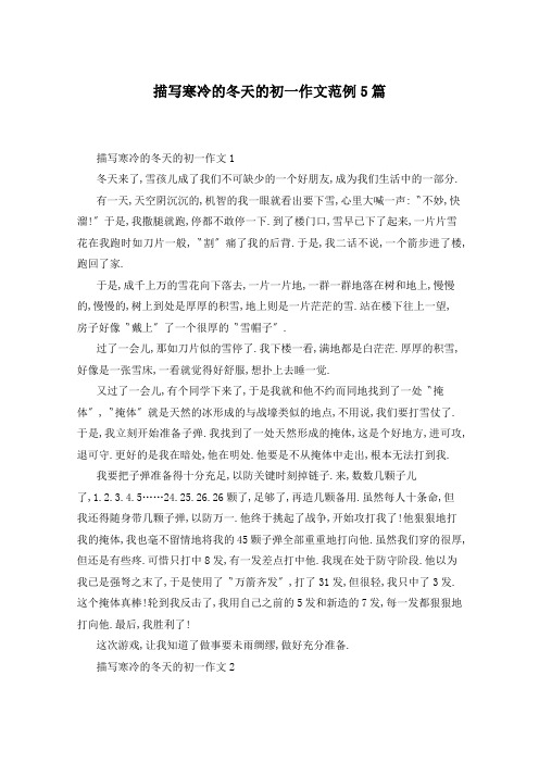 描写寒冷的冬天的初一作文范例5篇