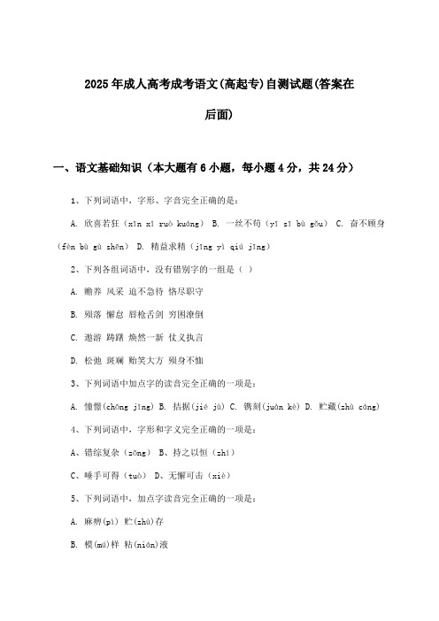 成考语文成人高考(高起专)试题及解答参考(2025年)