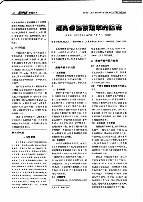 提高母猪繁殖率的措施