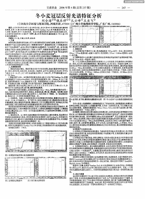 冬小麦冠层反射光谱特征分析