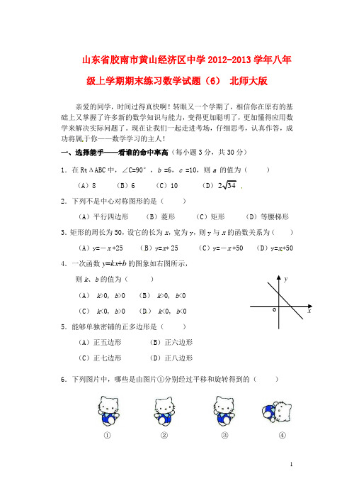 山东省胶南市黄山经济区中学八年级数学上学期期末练习